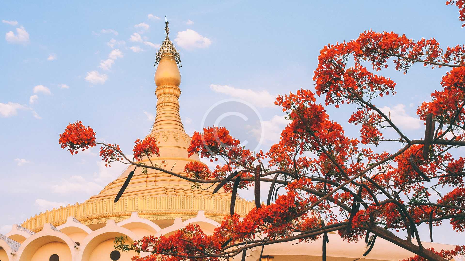 Kundalini Reiki Master