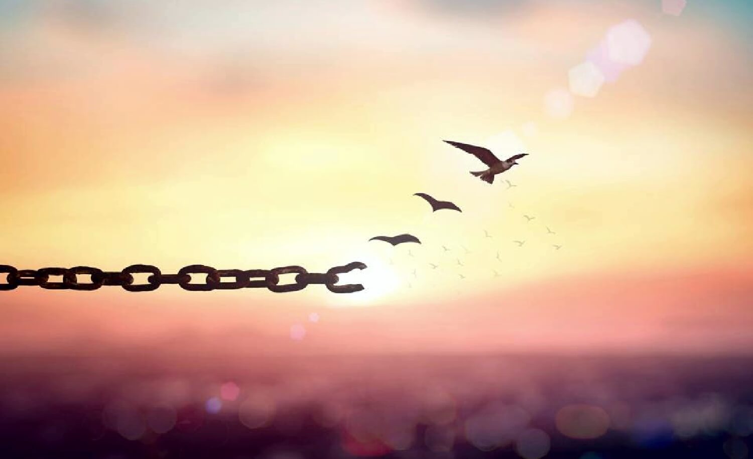 Crescent Healing Tekniği Nedir?